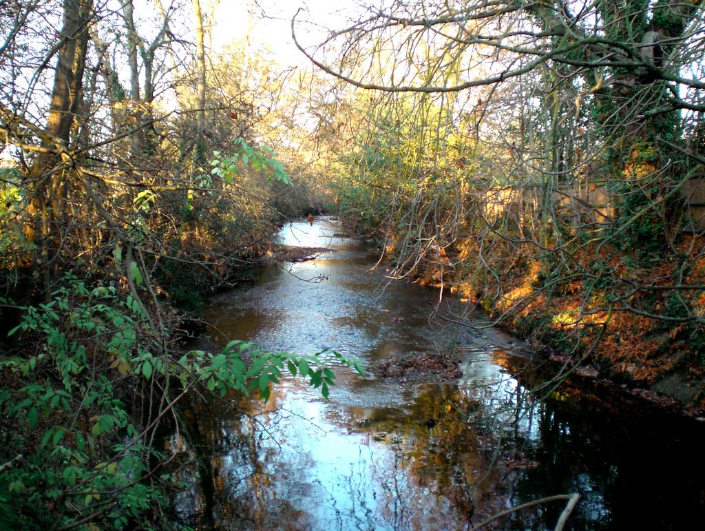Palewell Fields and Common
