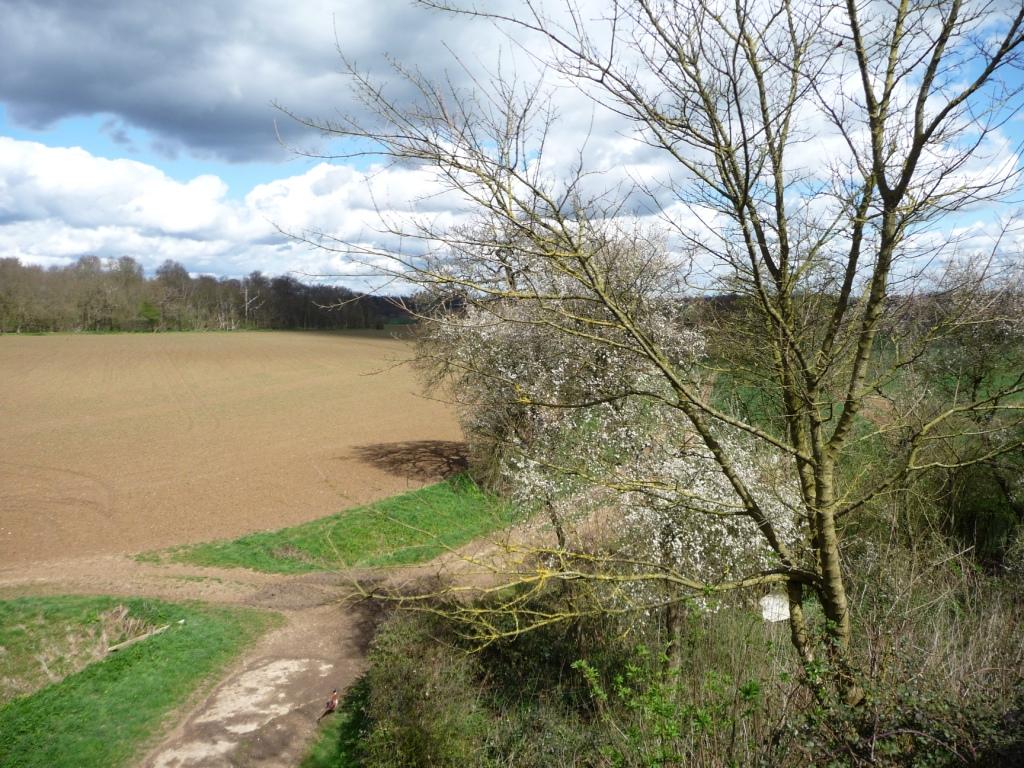 Dolman's Spring