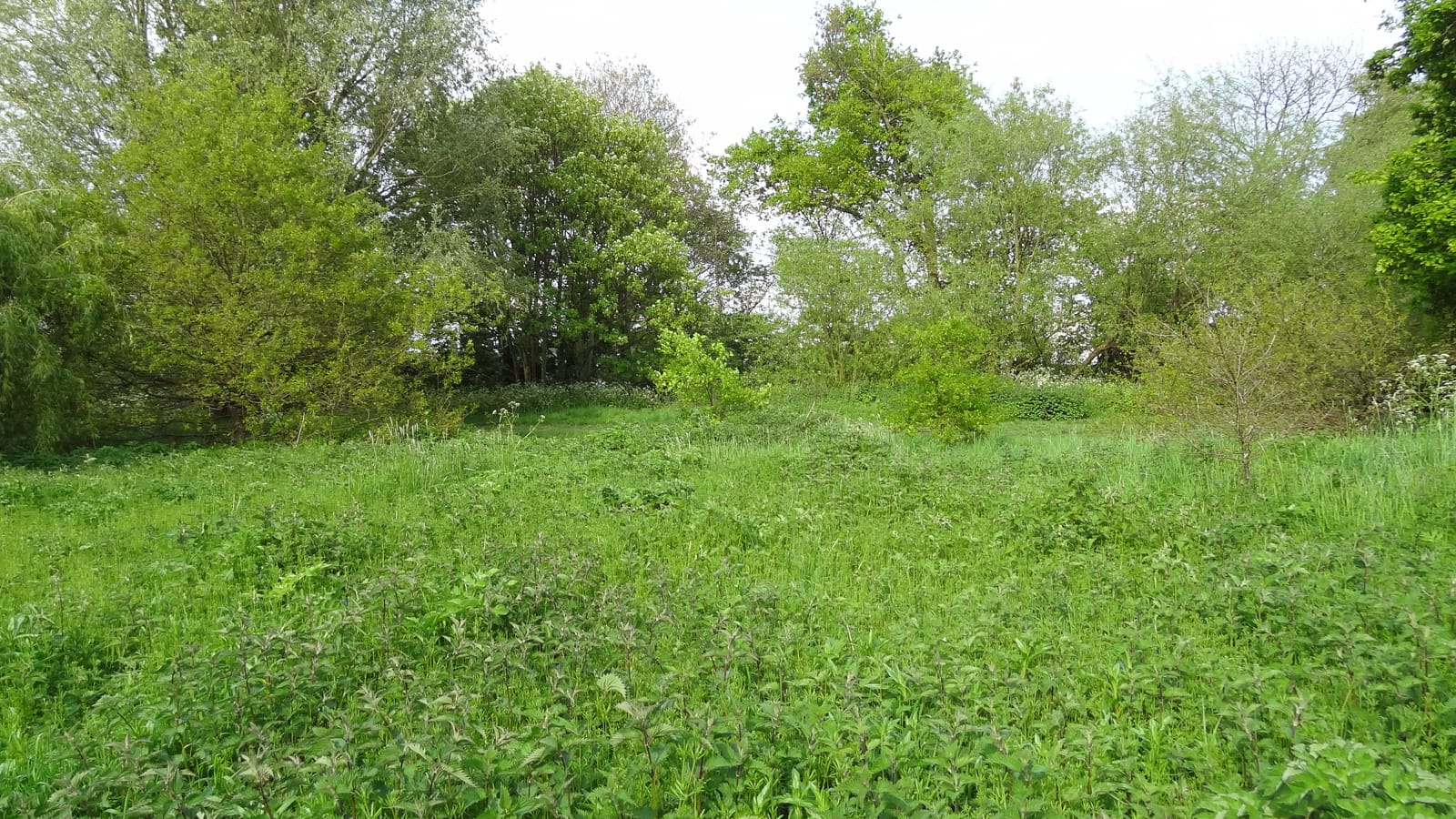 Elmbridge Meadows Nature Reserve