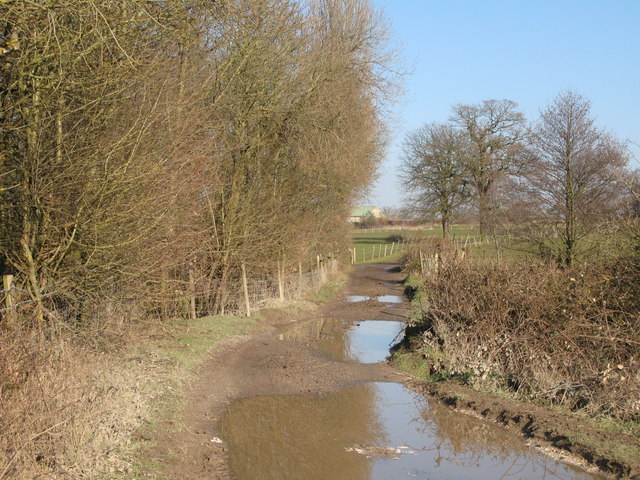 Woodcock Grove