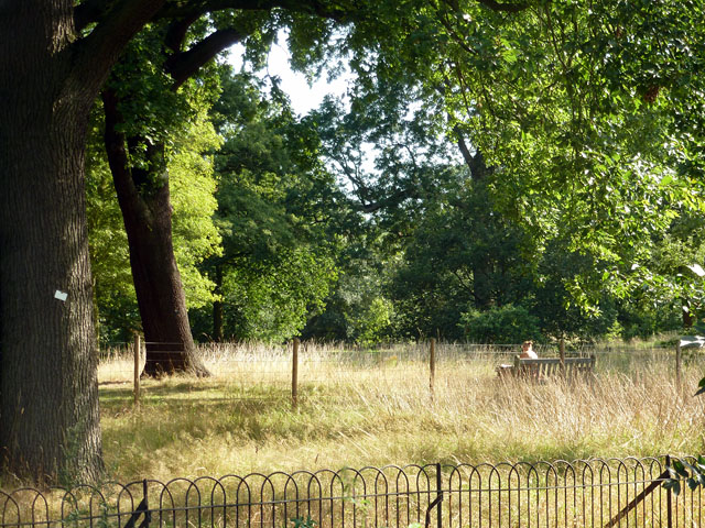 Quiet Gardens