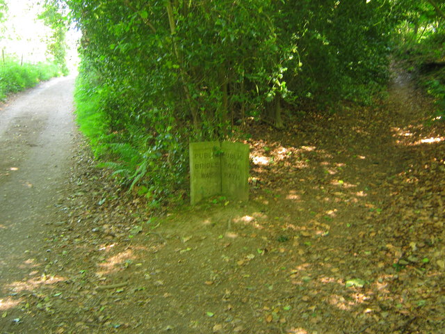 Lord's Spring Wood