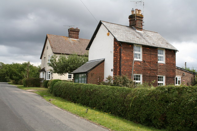 Brook Green Nursery