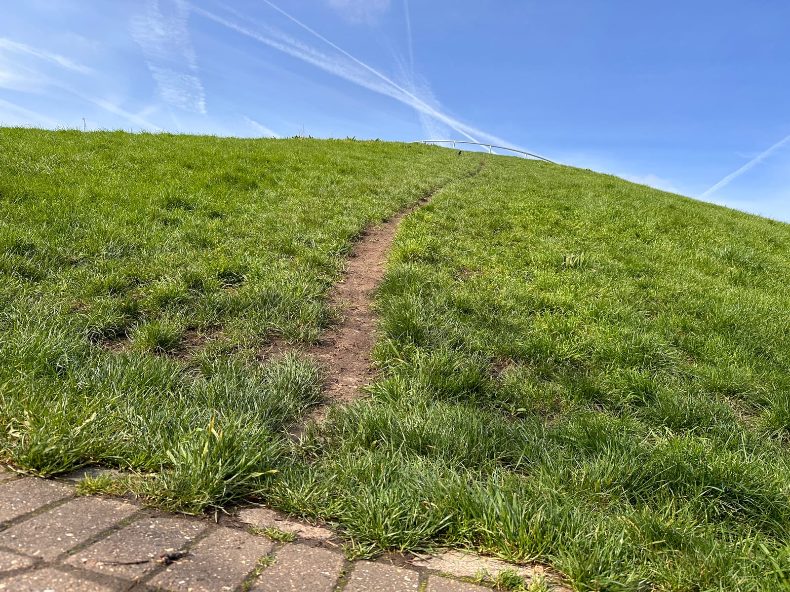 Stave Hill Ecology Park