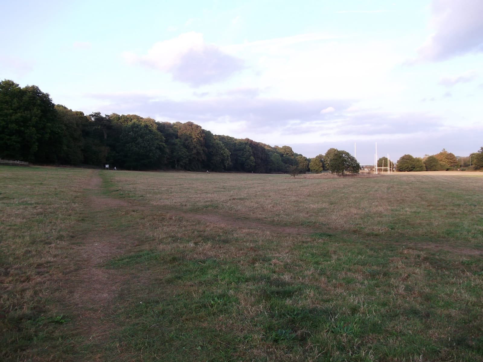 Spring Park Wood