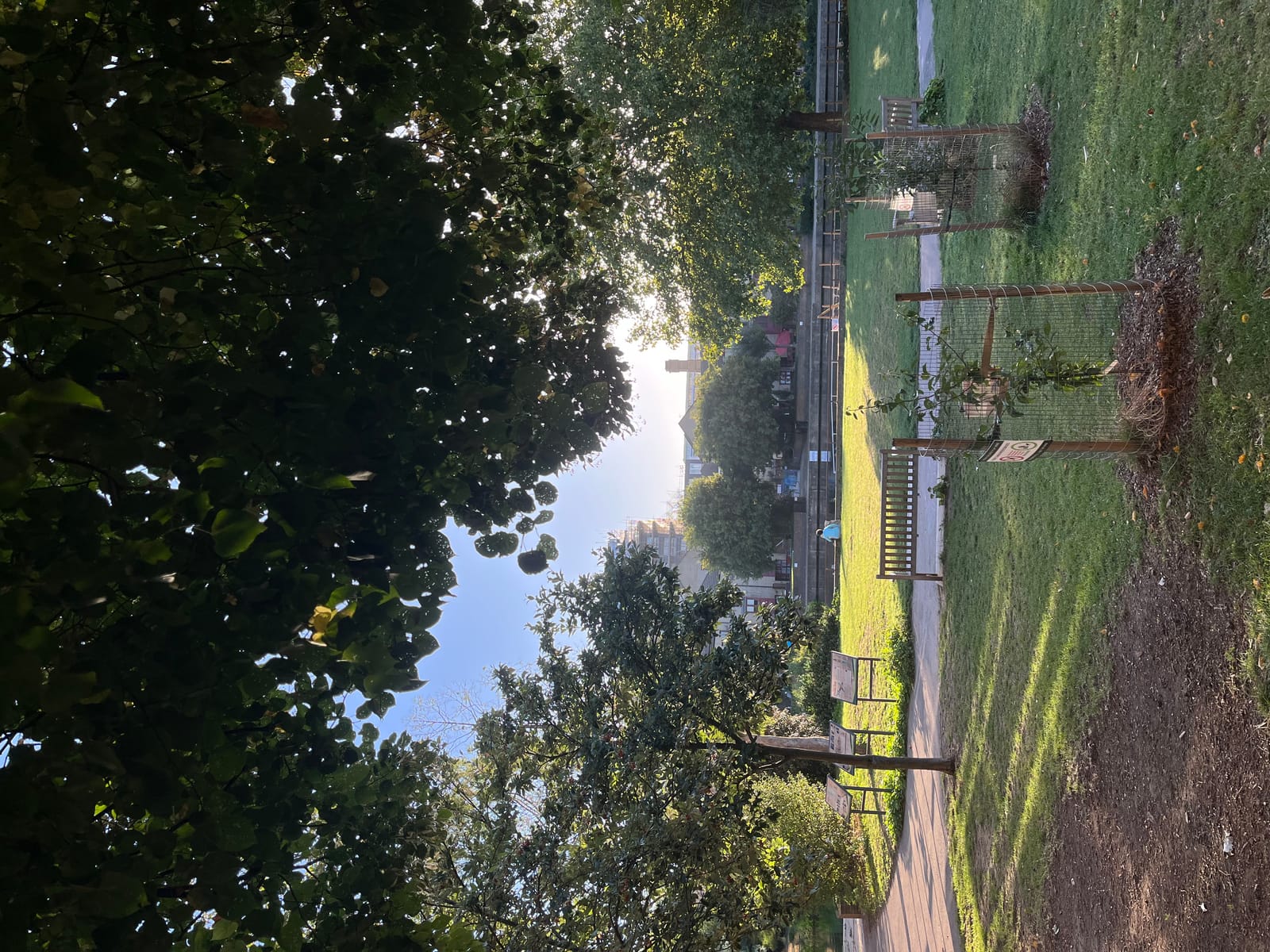Graham Street Park