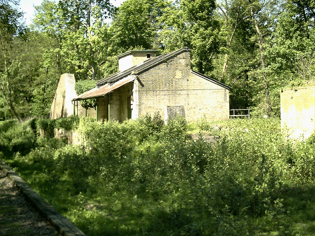 Old Alders
