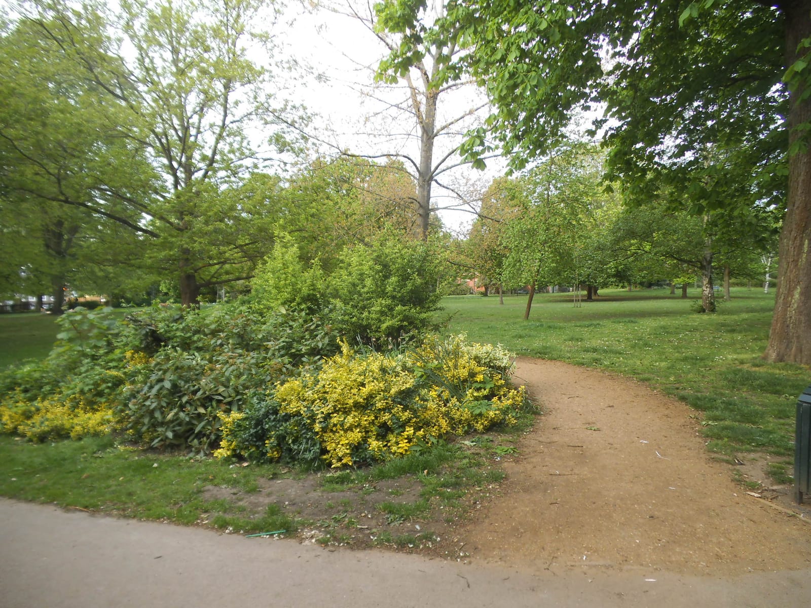 Montpelier Park