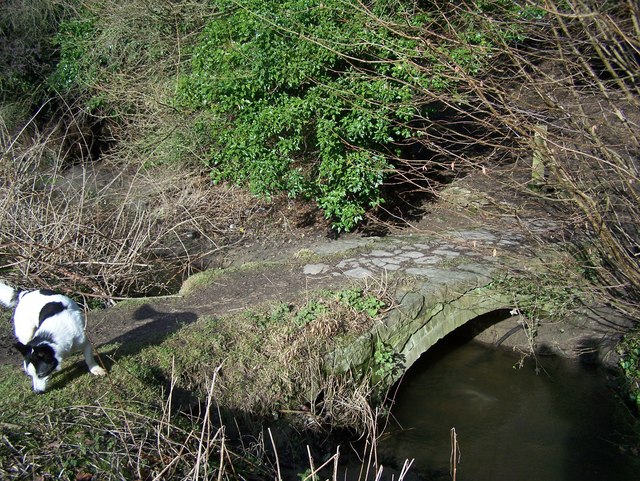 Leybourne Wood