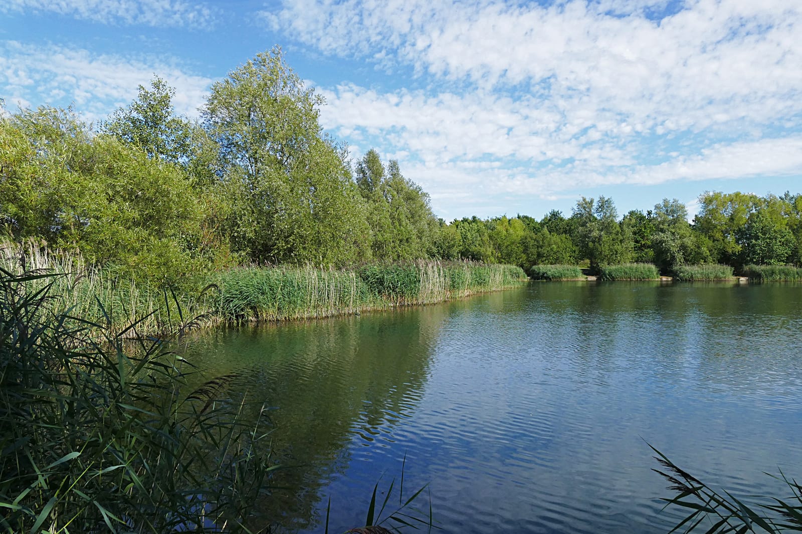 Bedfont Lakes Country Park.