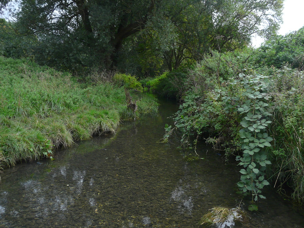 Hogsmill Riverside Open Space