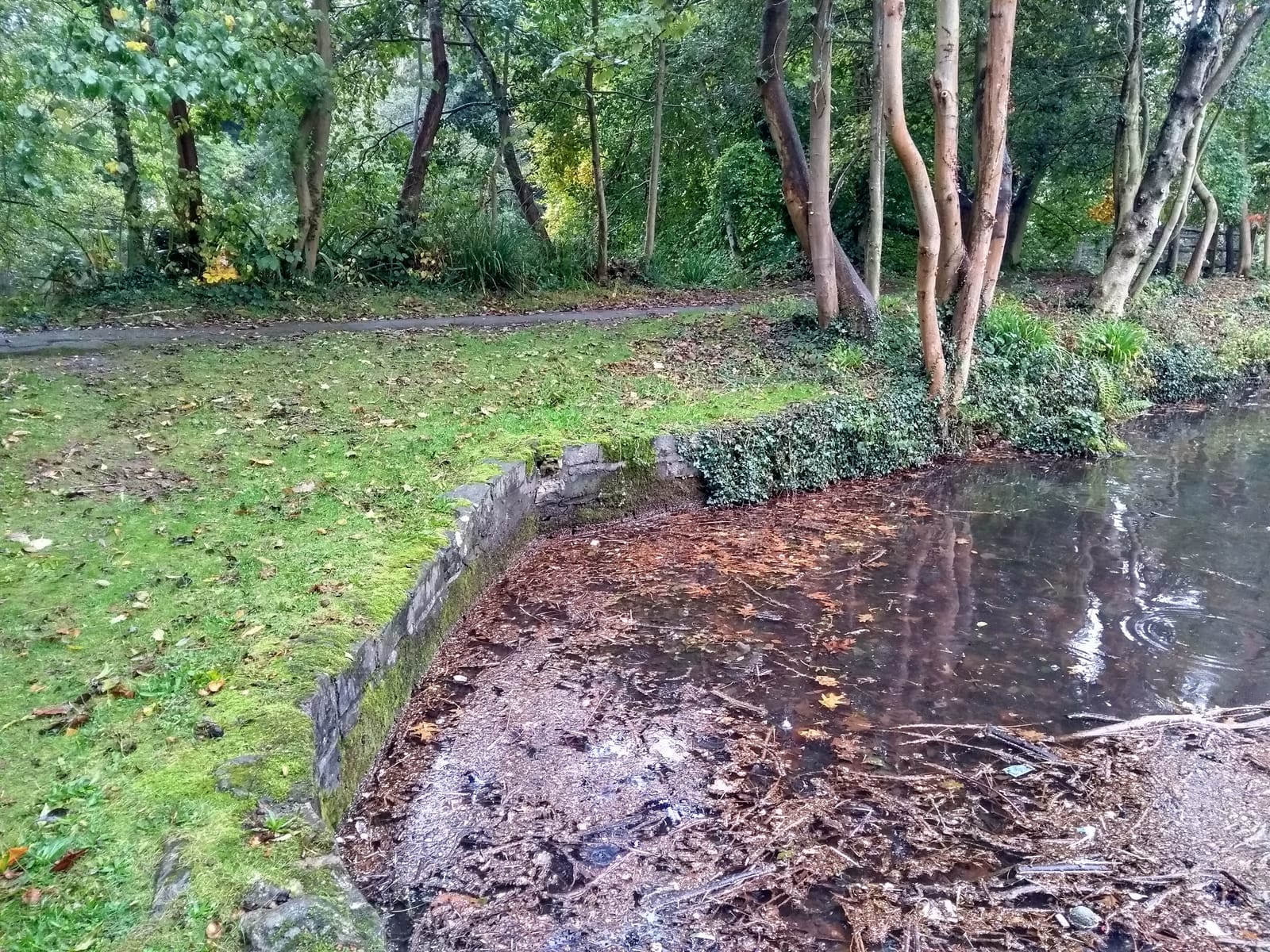 Bradbourne Lakes