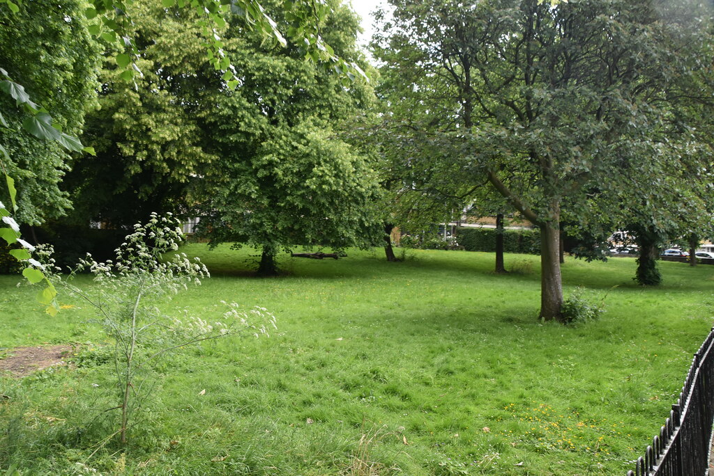 Forty Tree Green
