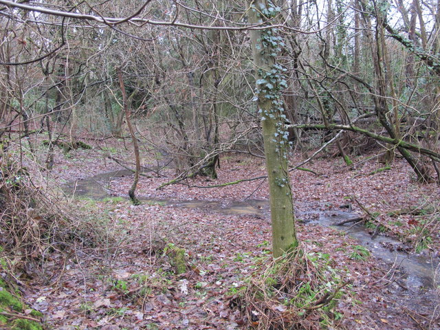 Lake Wood