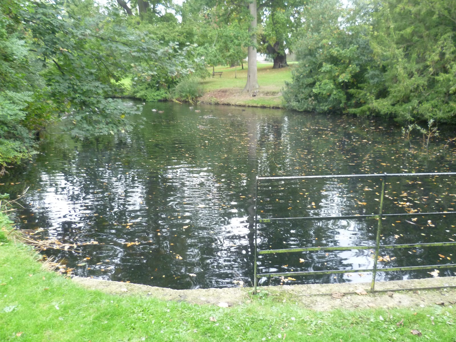 The Knoll