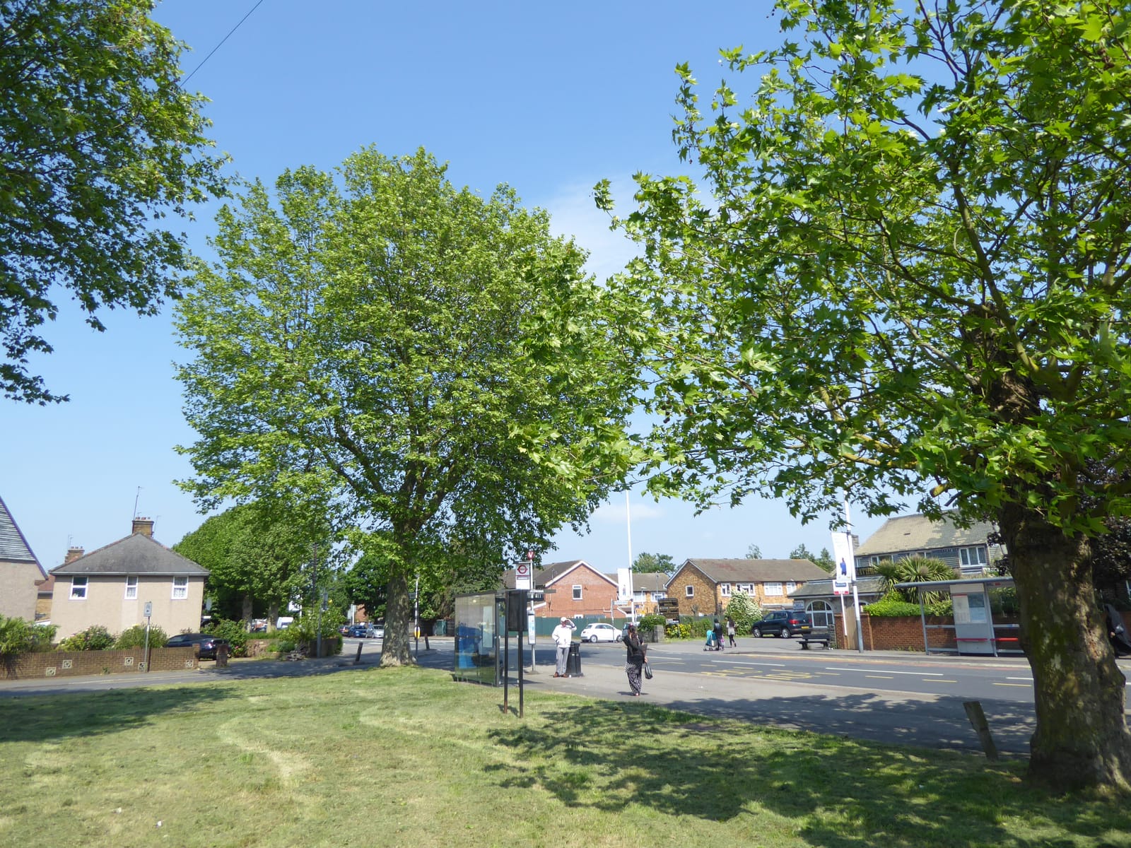 Coldharbour Lane Open Space