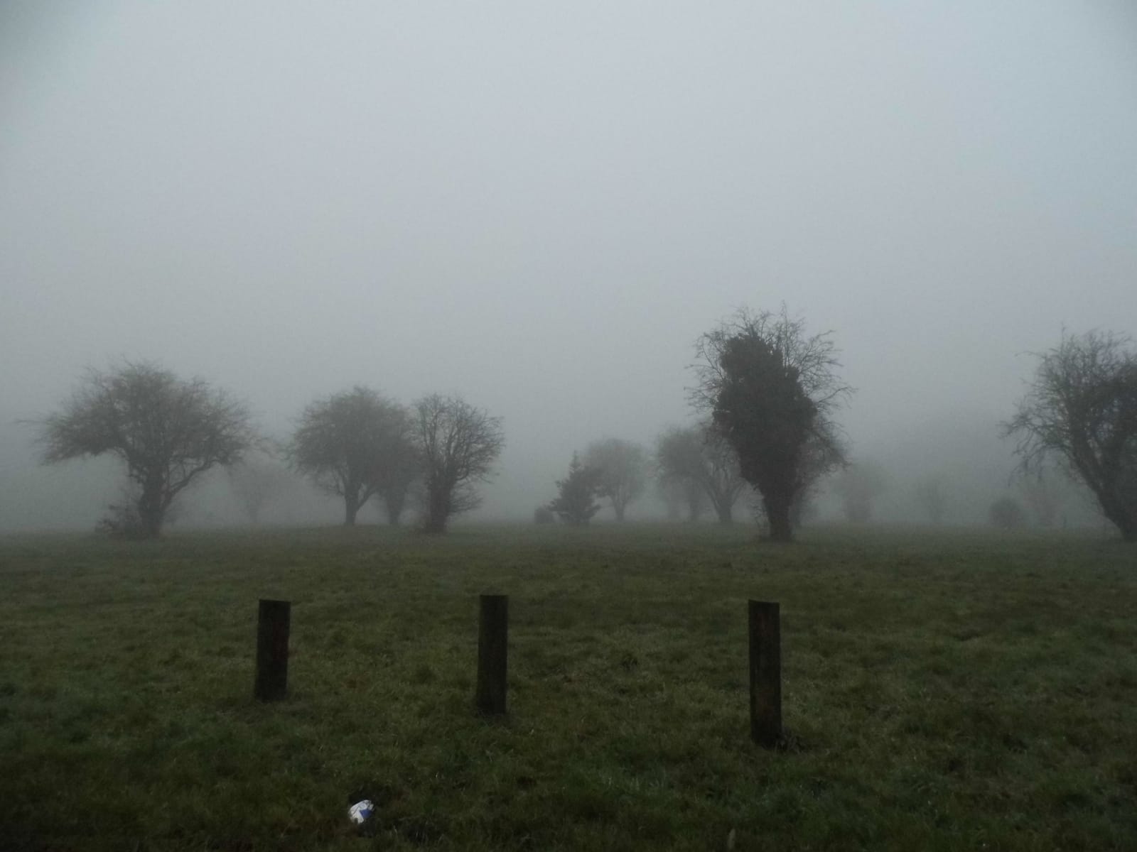 Great Farleigh Green