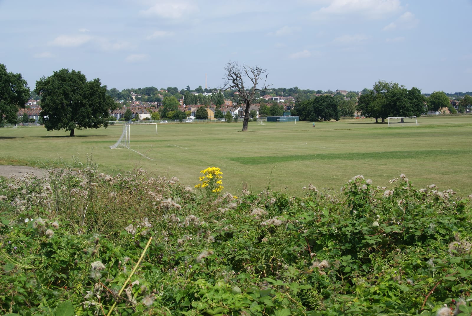 Prince George's Playing Fields