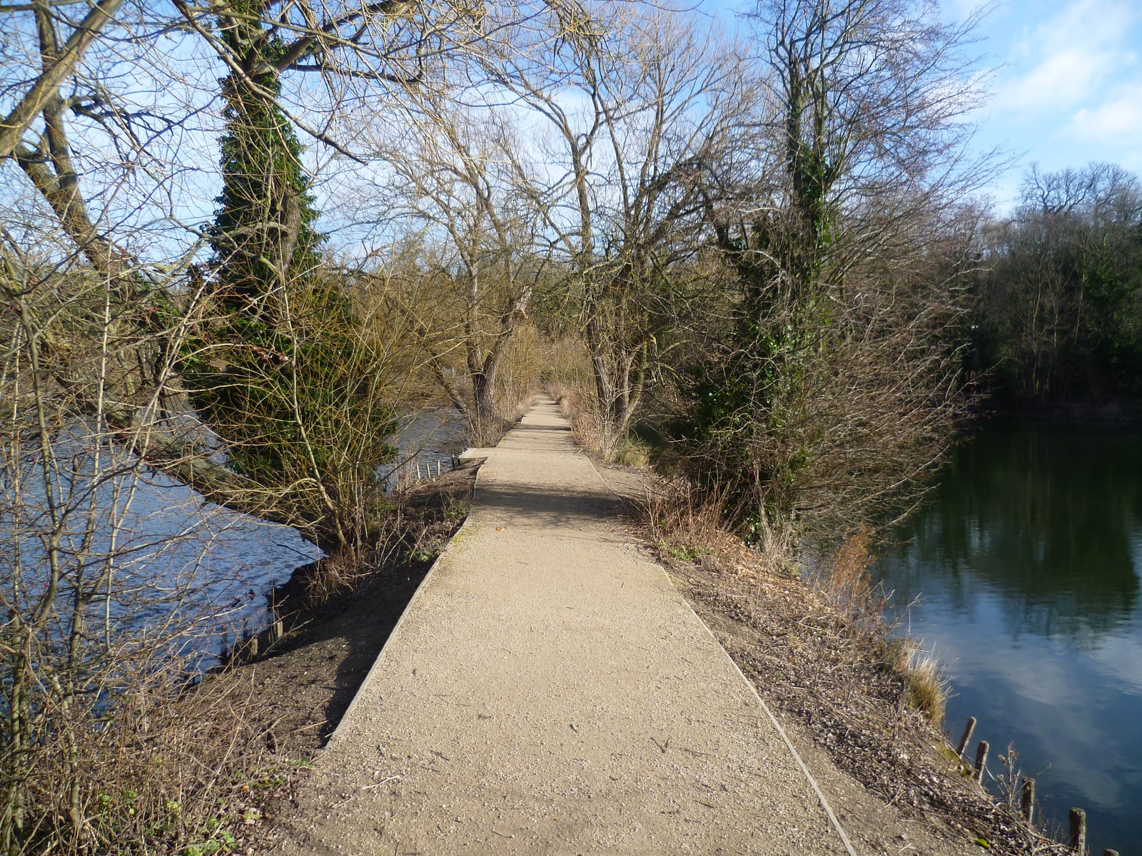 Brooklands Lakes
