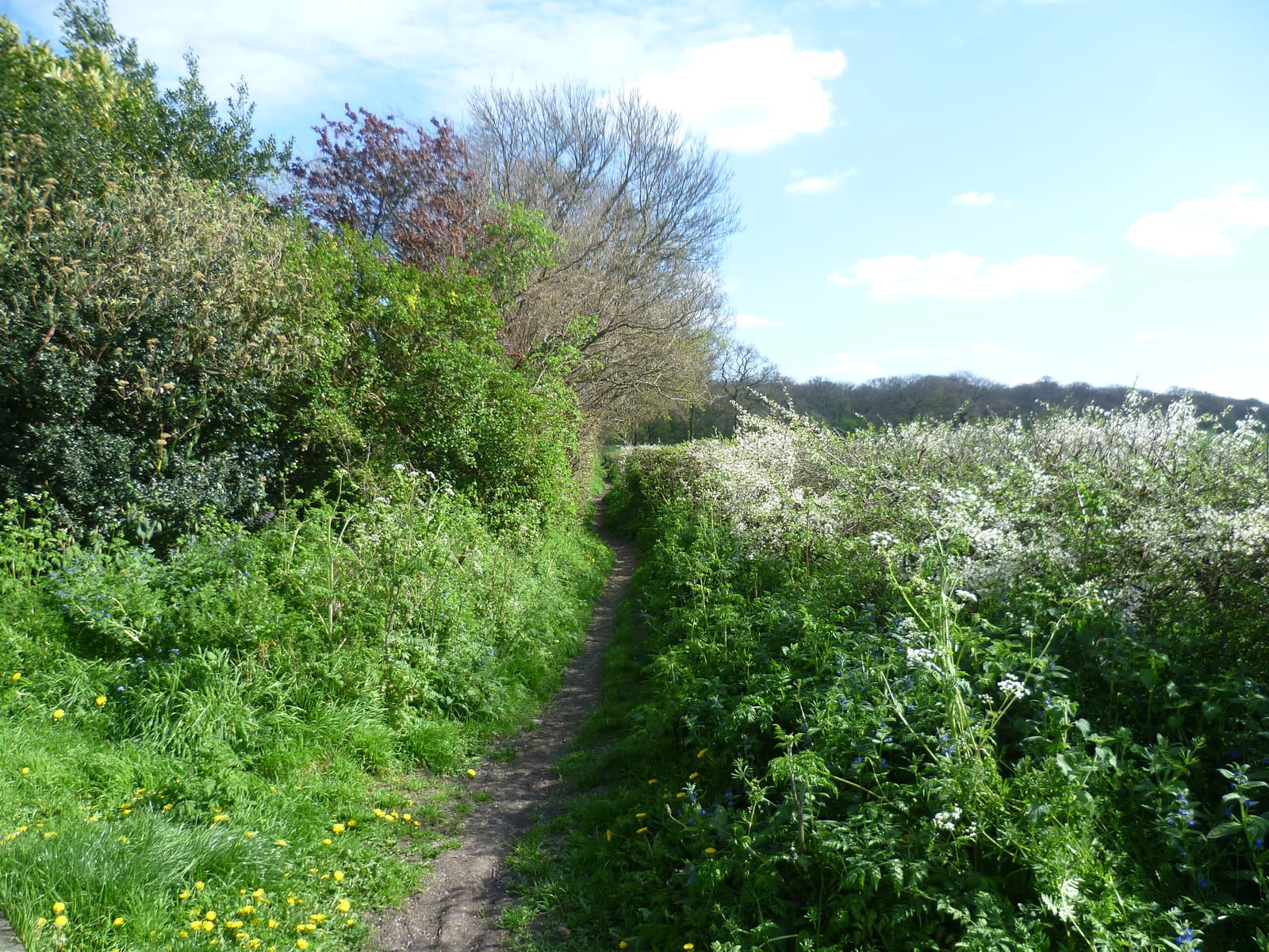 Crofton Heath