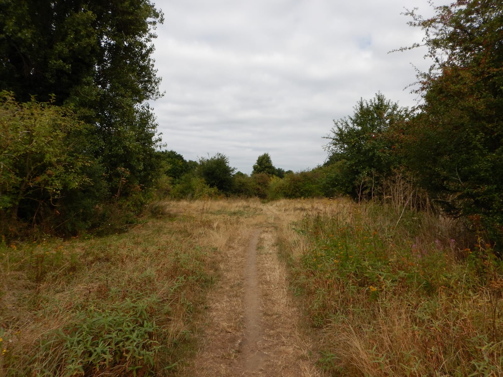 Ham Lands