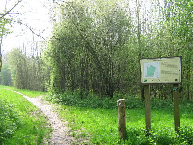 Oxenhill Shaw