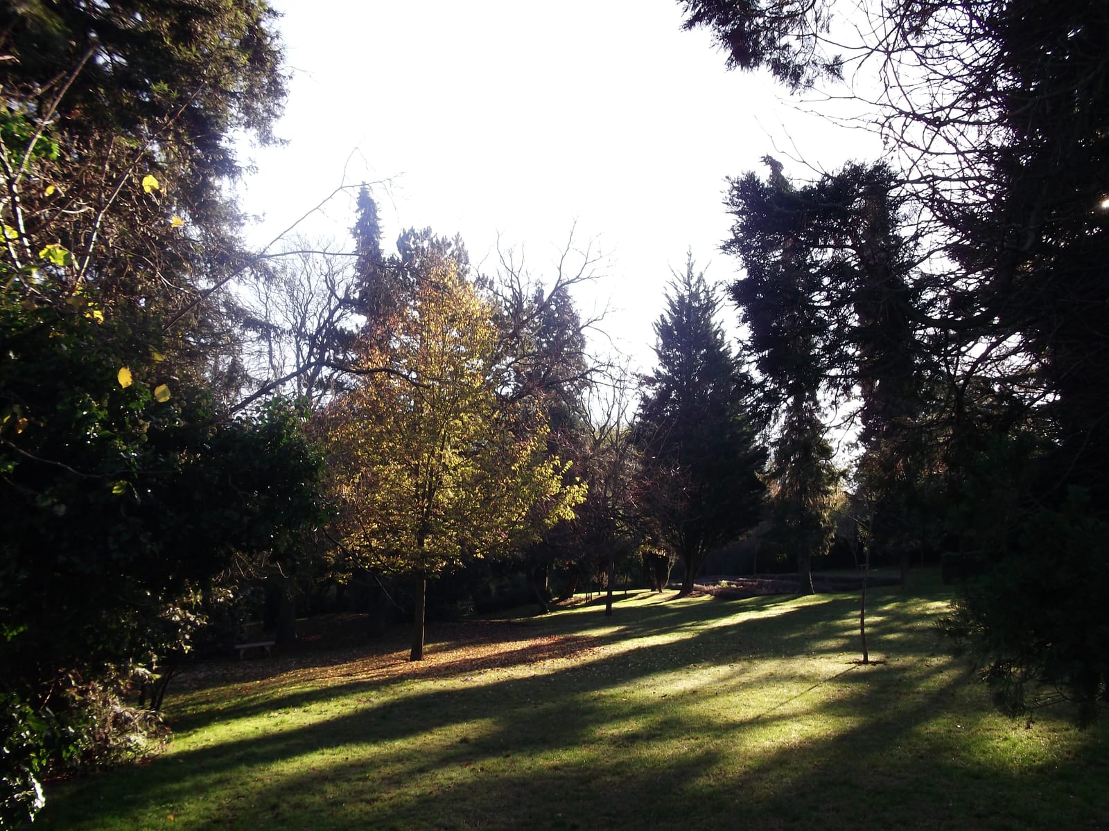 Wettern Tree Garden