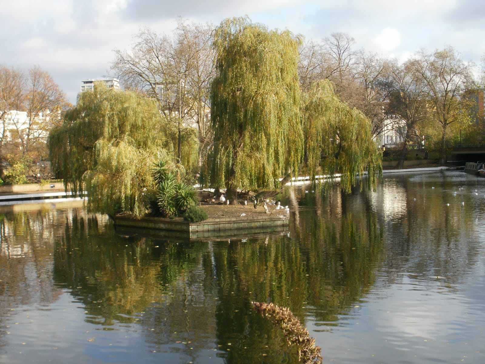 Browning's Island