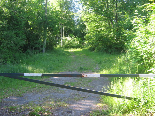 Barnett's Wood