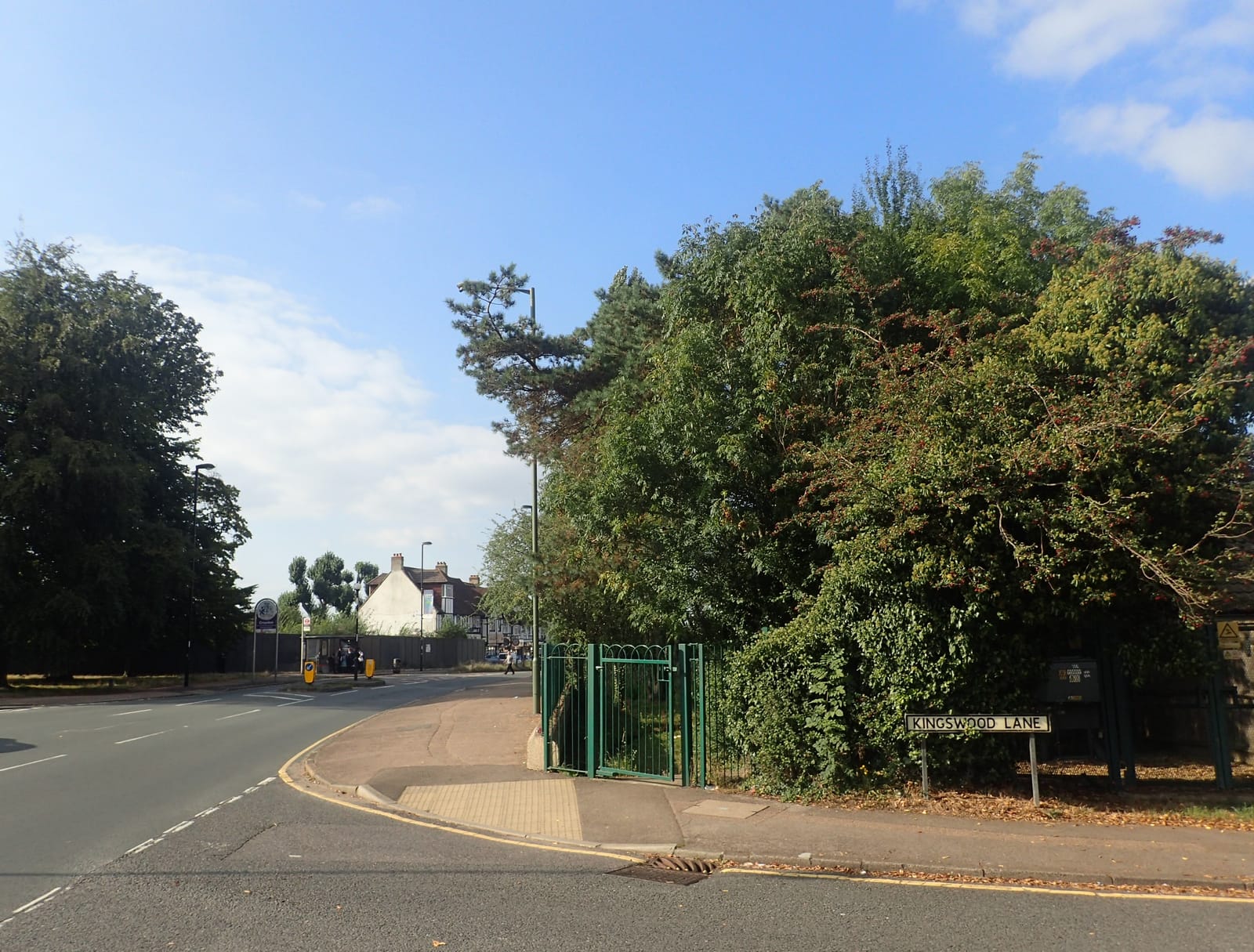 Hamsey Green Pond