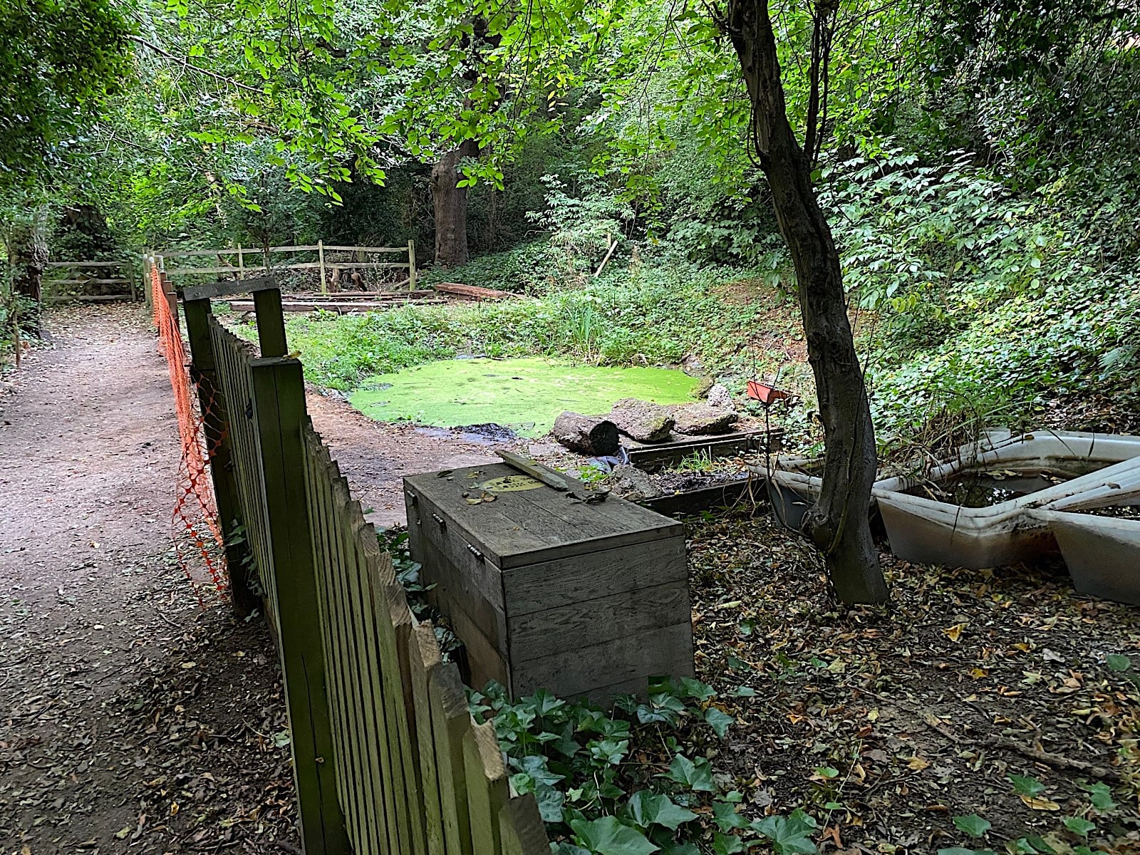 Dulwich Upper Wood