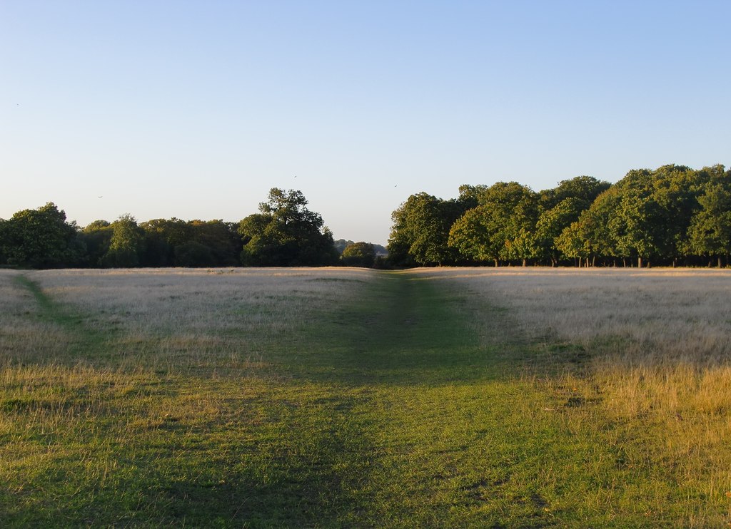 Gibbet Wood