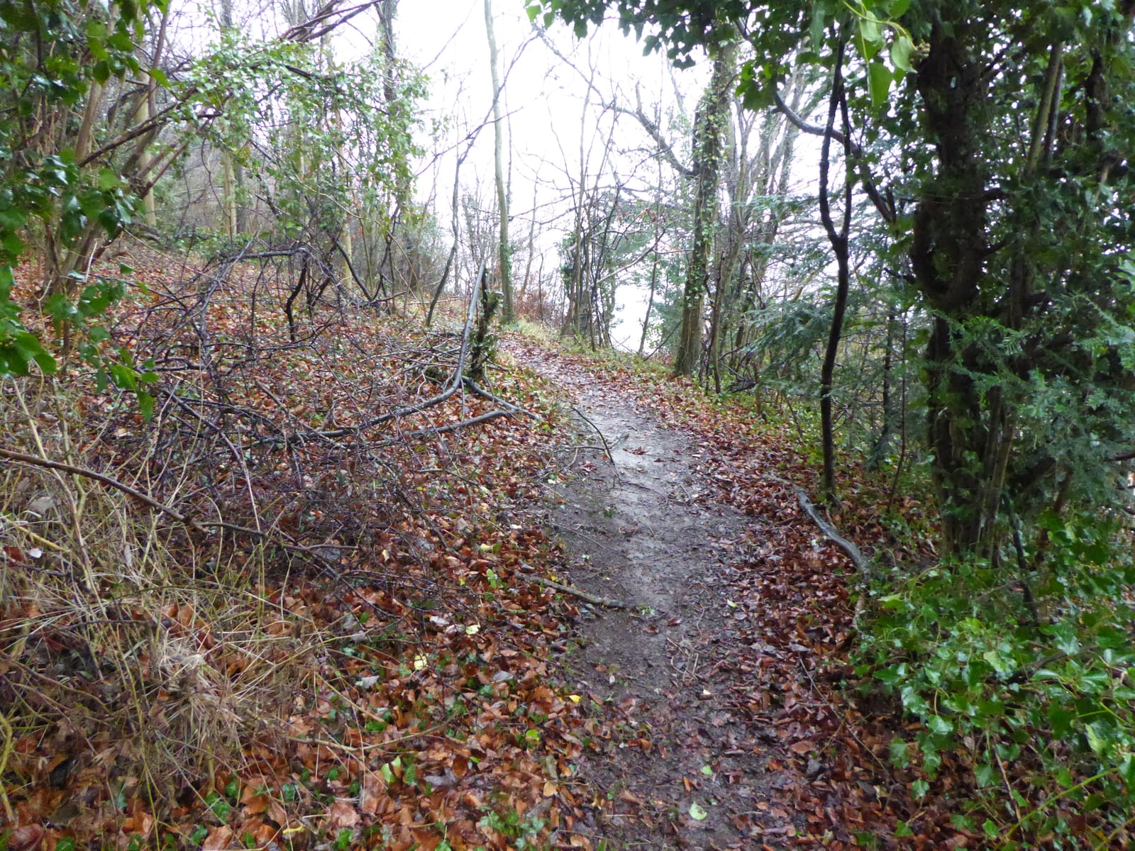 Fackenden Down Nature Reserve