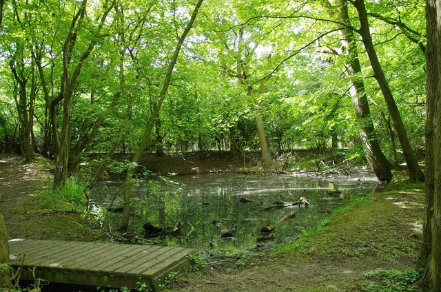 Church Wood