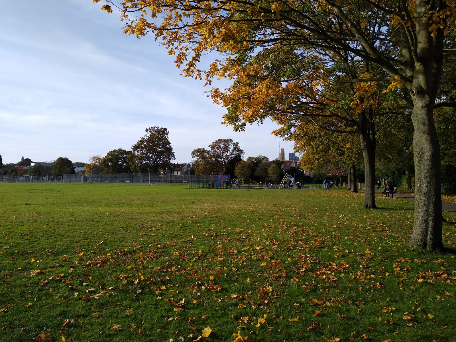 Woodmansterne Recreation Ground - The Park