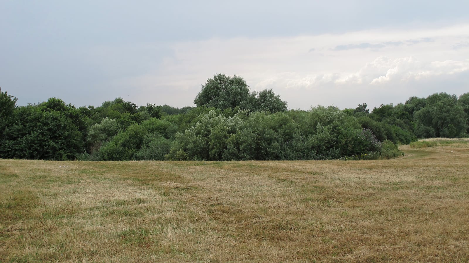 Berwick Woods