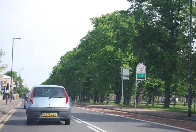 Figges Marsh