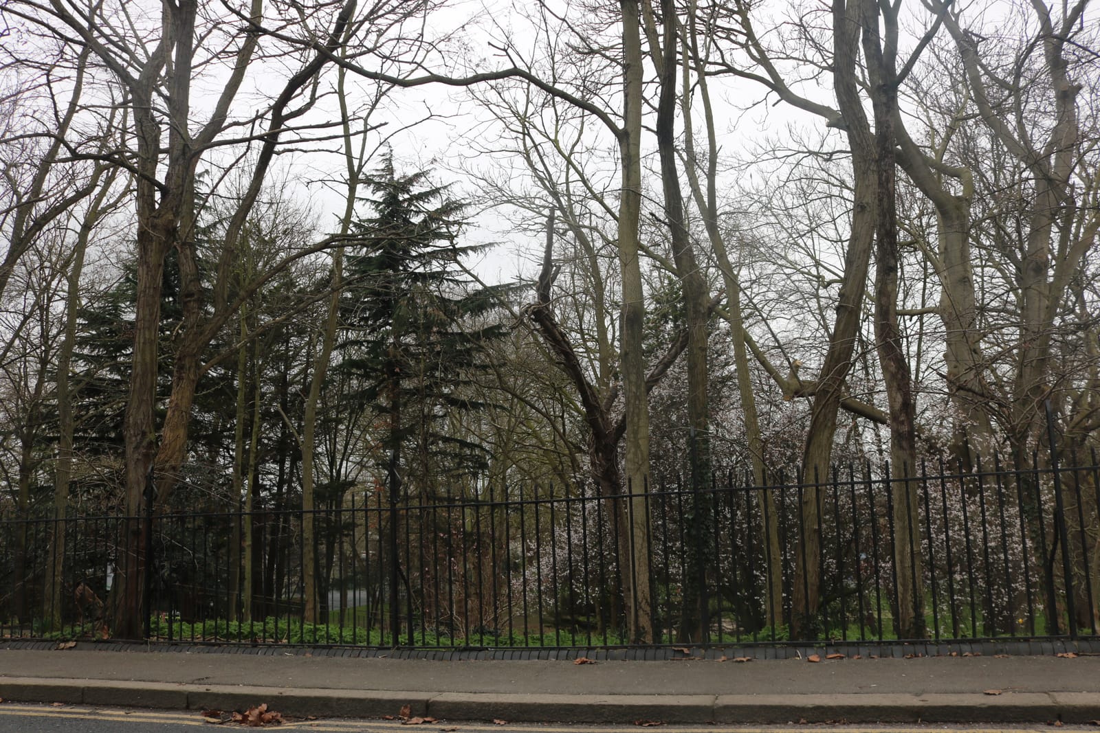 Grays Town Park